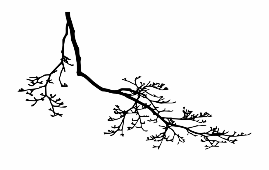12 Tree Branch Silhouette Png Transparent Vol Rama