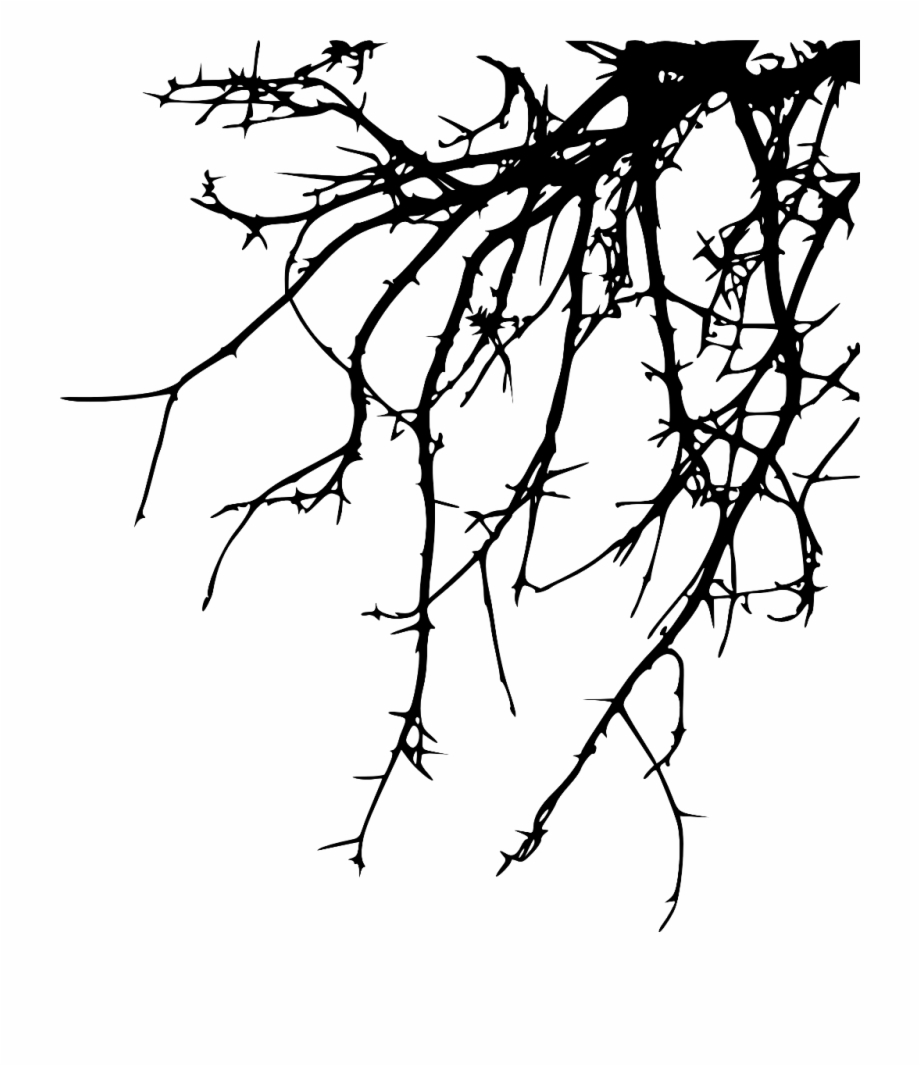 Freetoedit Tree Branch Silhouette 4Trueartists Twig