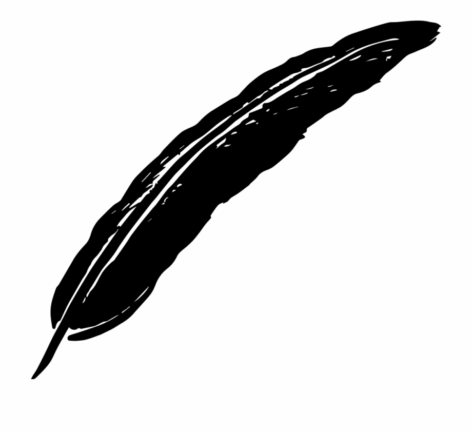 feather pen illustration png

