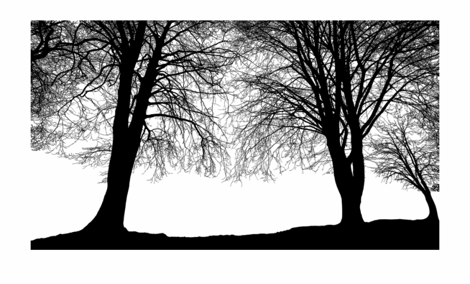 forest trees clipart black and white hen