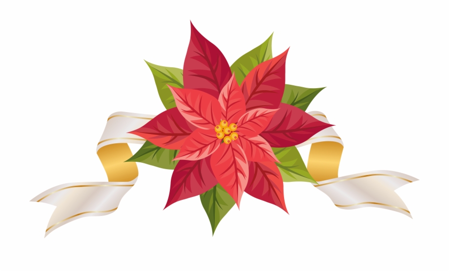 Poinsettia With Ribbon Png Clipart Image Poinsettia Clip