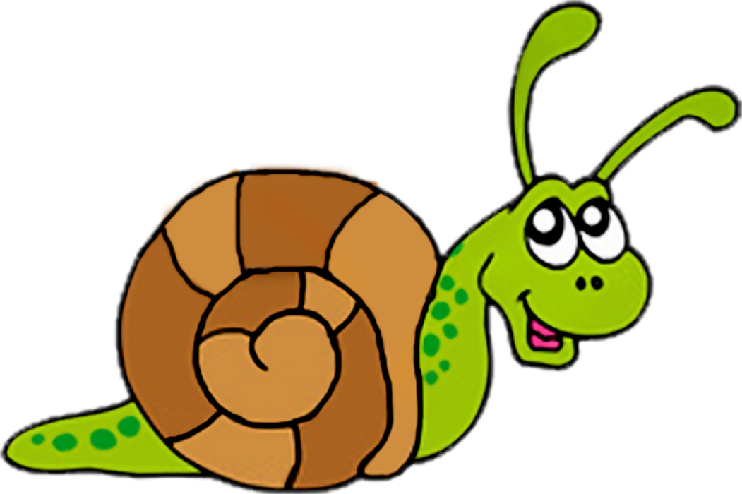 Snail Images Free Download Clipart Clipart Images Of
