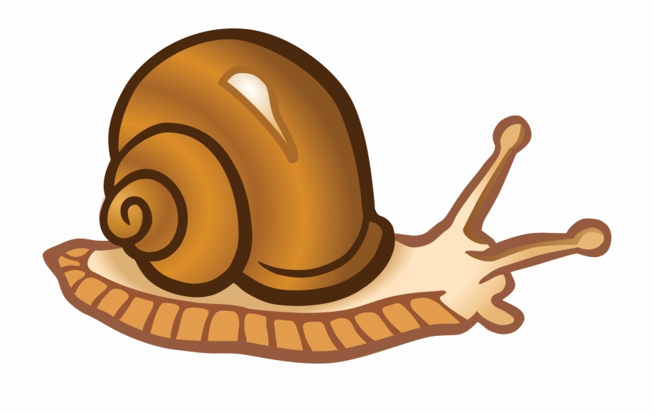 Snail Image Clipart Image Of Snail