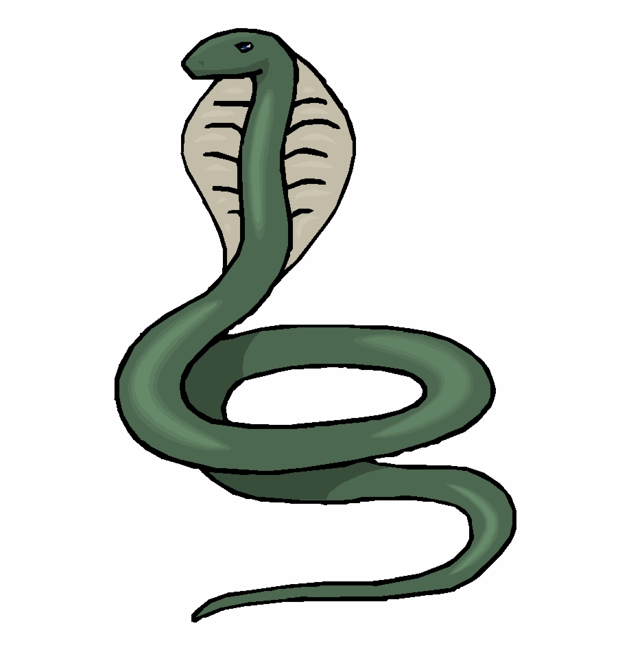 Snake Clipart Png Black Snake Background