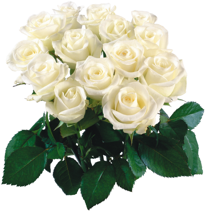 Bouquet Of Flowers White Flower Bokeh Png