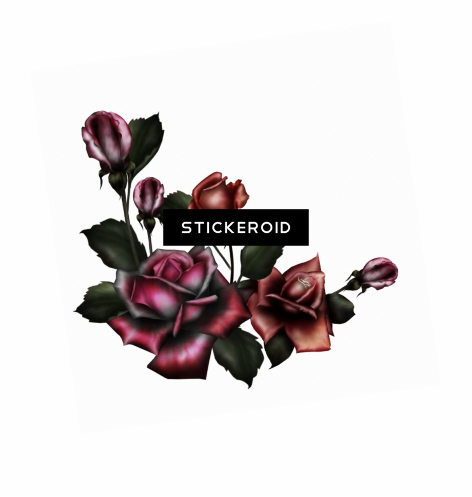Gothic Rose Pic Flower Gothic Rose Png