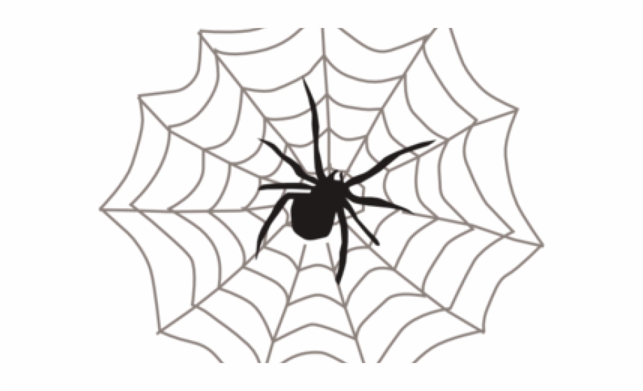 clipart spider with web
