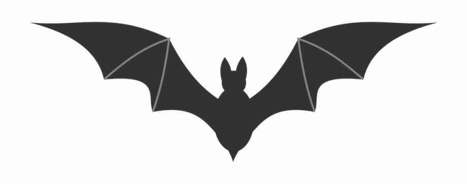 Bat Icon Symbol Black Silhouette Spooky Horror Fledermaus