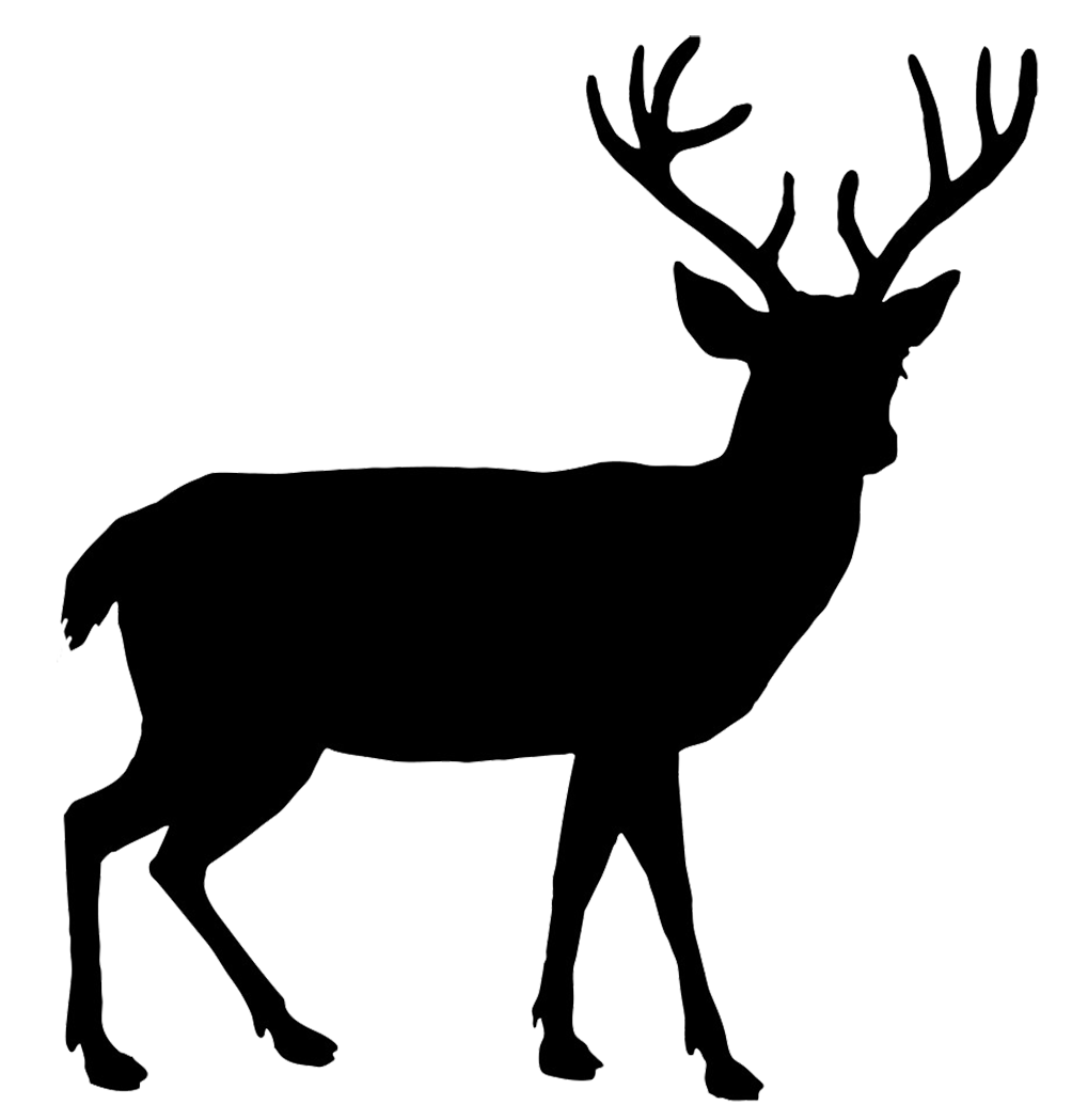 Download Free Deer Head Silhouette Svg Download Free Clip Art Free Clip Art On Clipart Library PSD Mockup Templates