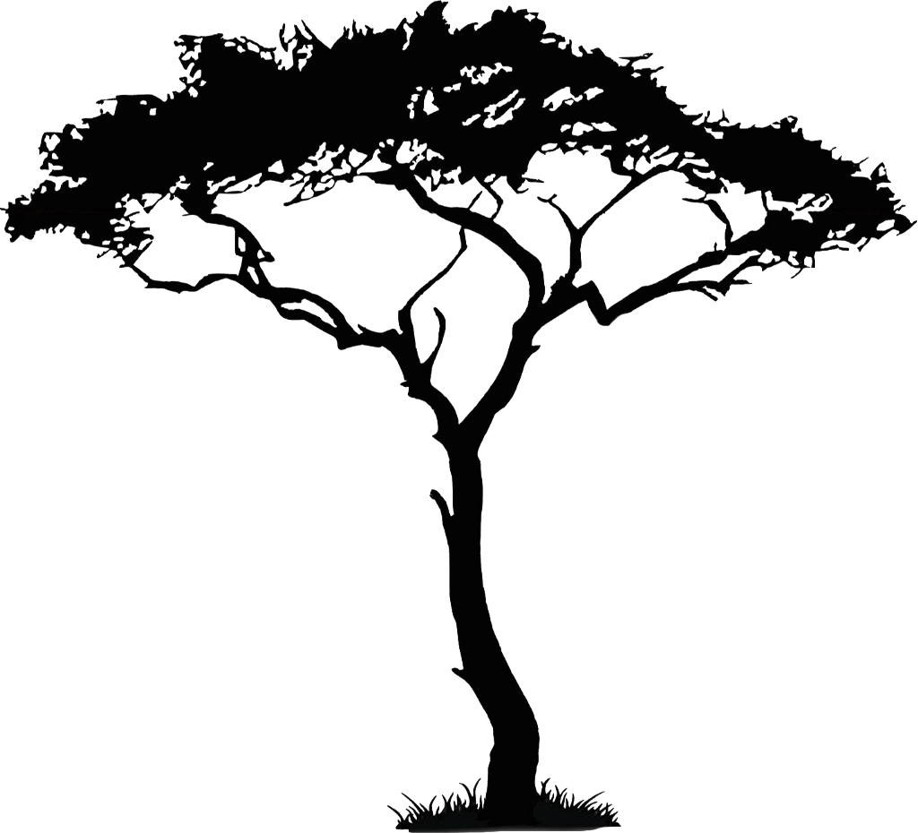 Africa Tree Png