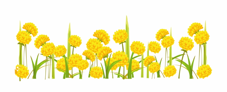 Dandelion Png Clipart Flowers On Transparent Background
