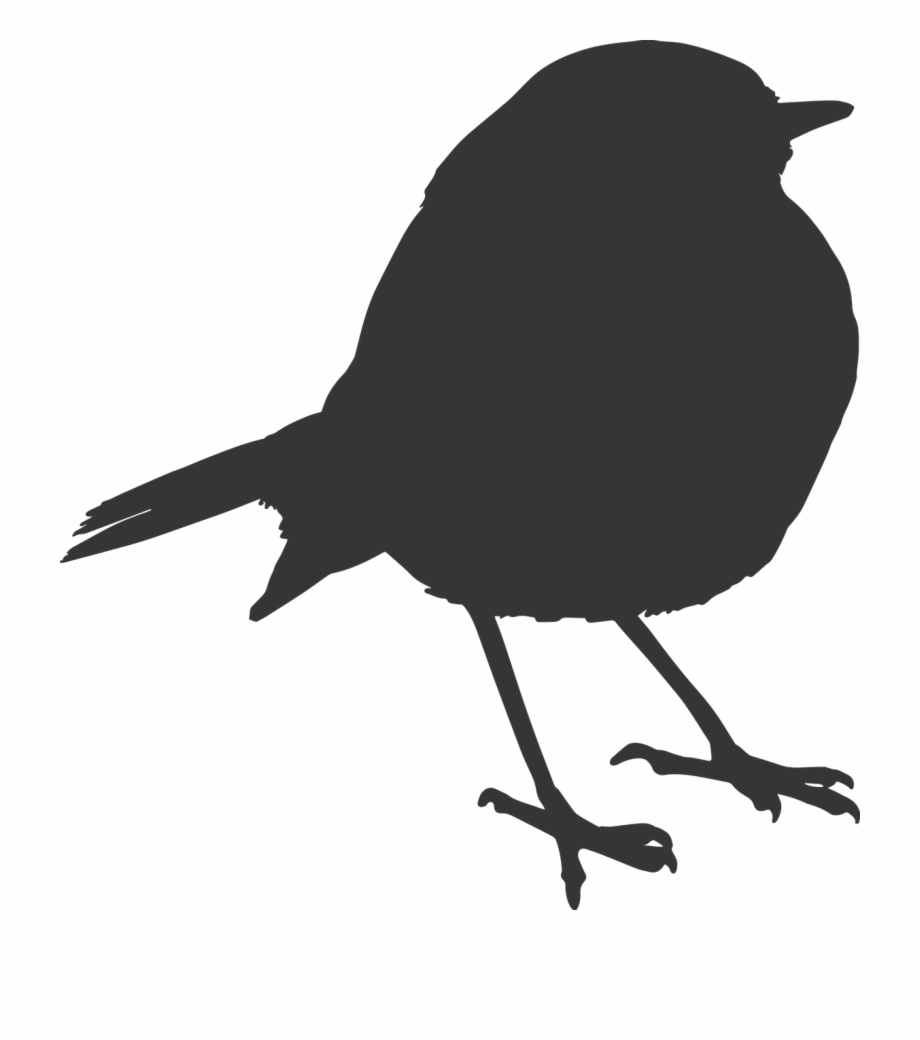 Bird Sparrow Silhouette Orange Png Image 