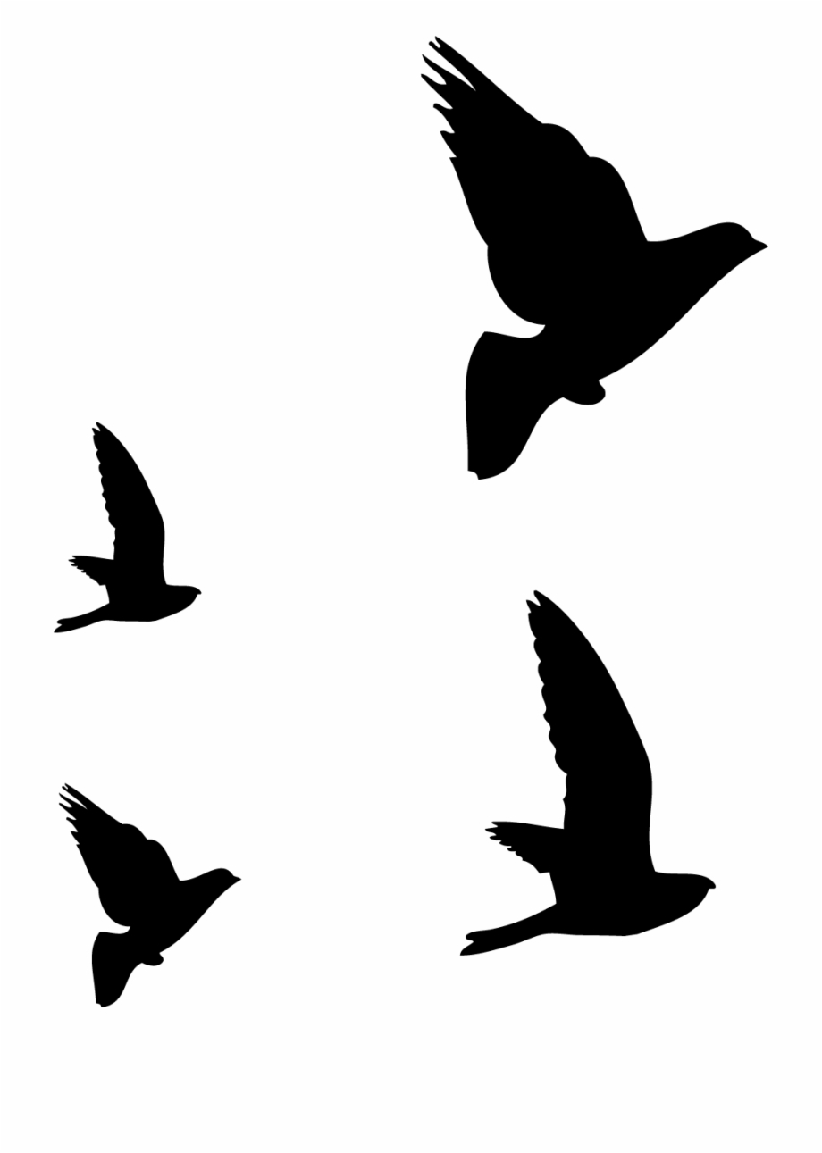 birds silhouette drawing png
