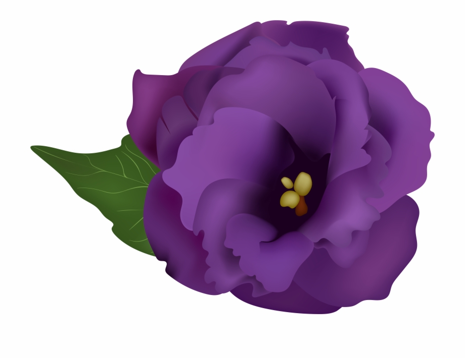 Purple Flowerpng Transparent Clip Art Imageu200b Gallery Clip