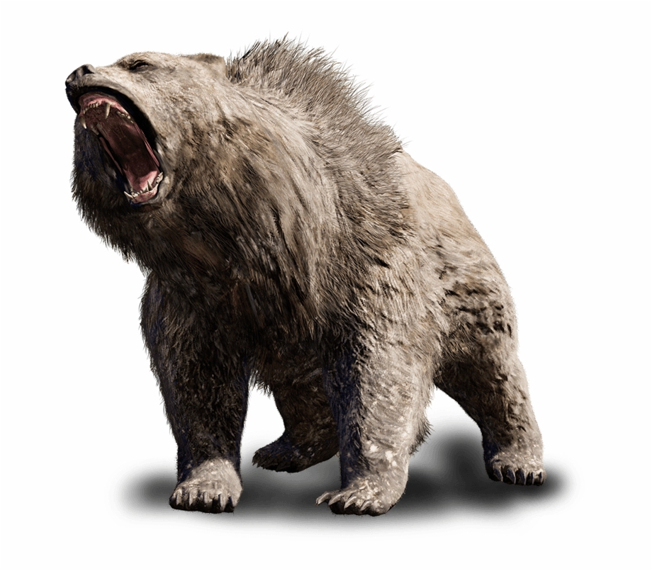 Beast Vector Angry Bear Far Cry Primal Bear