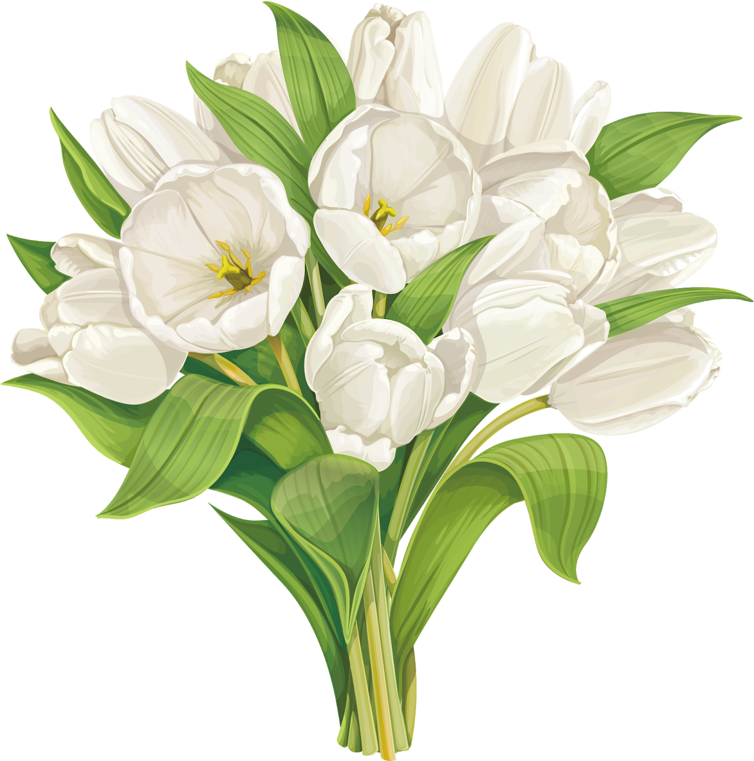 White Flower Bouquet Tulip Clip Art White Tulip