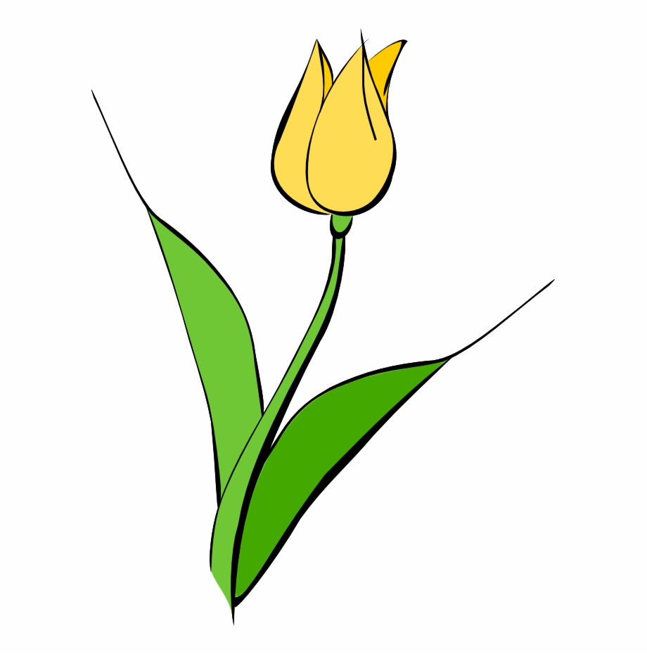 Yellow Tulip Clip Art Blue Tulips Flower Png