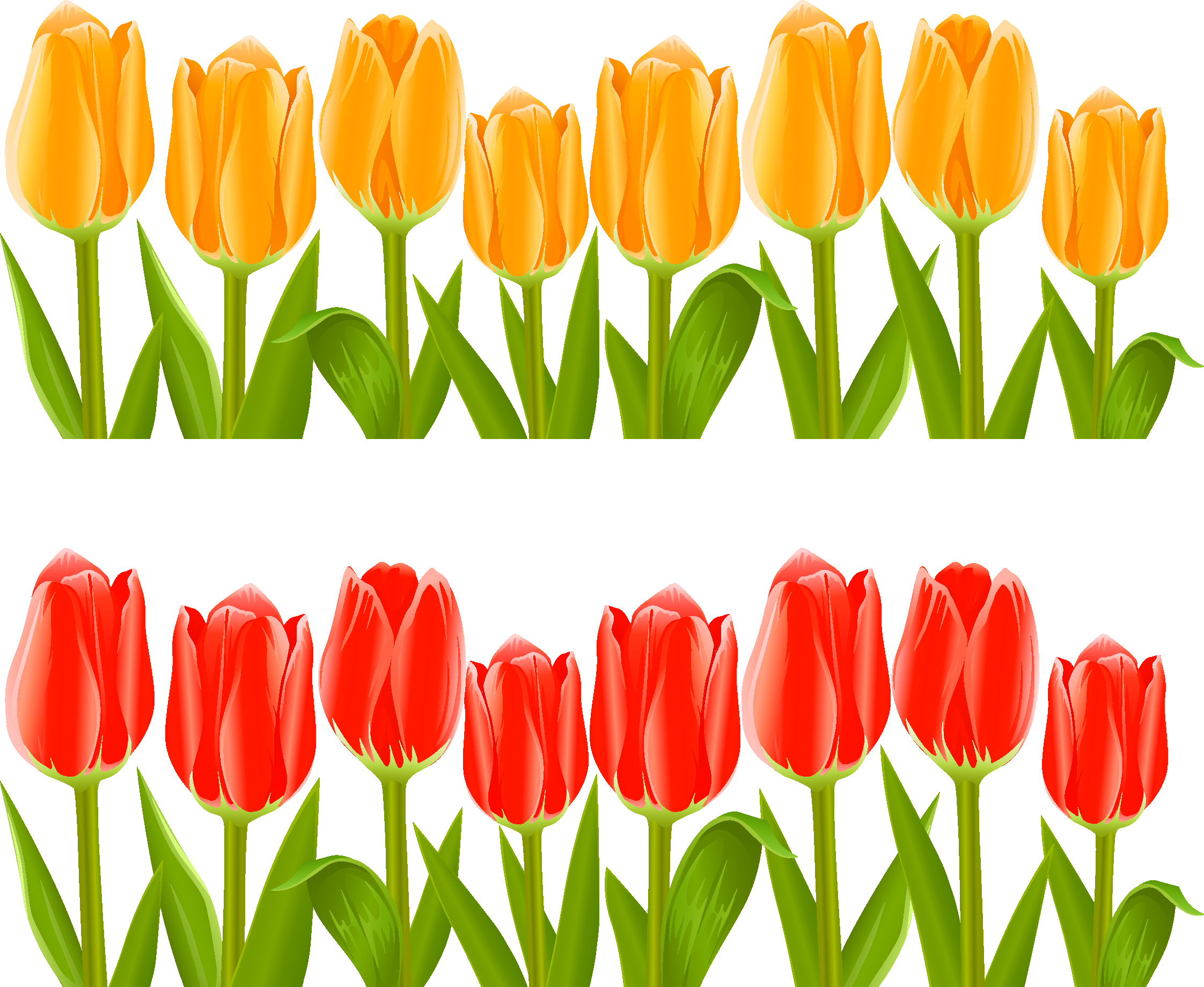 Indira Gandhi Memorial Tulip Garden Flower Clip Art