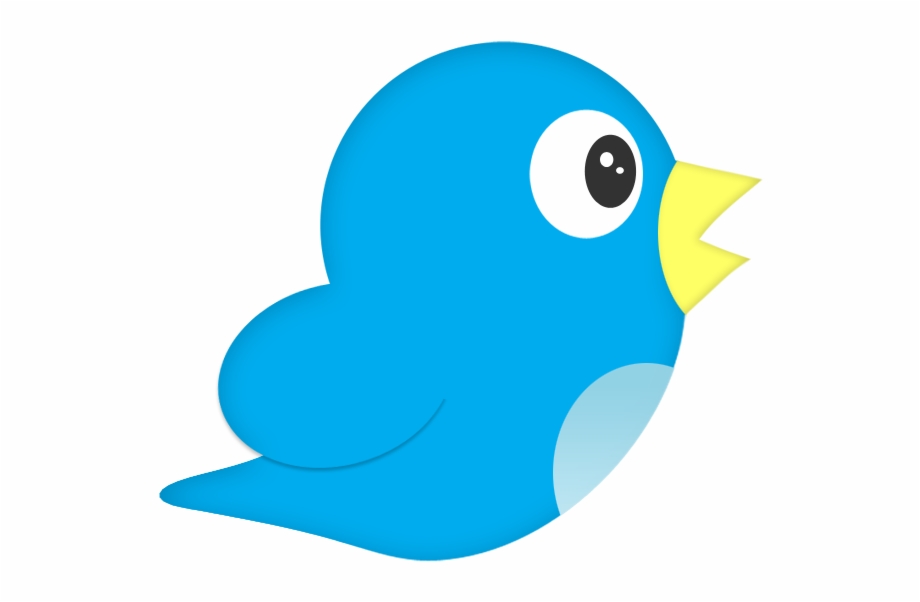 Twitter Logo Png Transparent Twitter Bird Png Icon