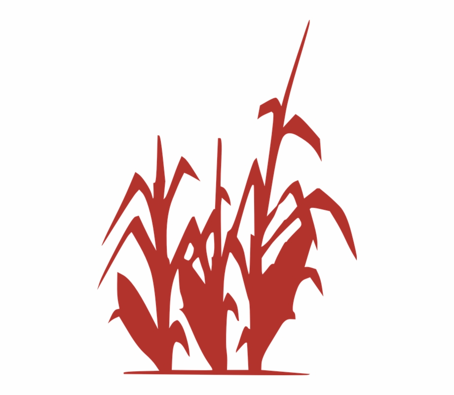 Corn Plant Field Silhouette Red Spring Grow Clipart