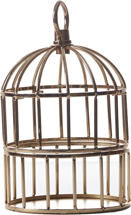 Cage Png Cage