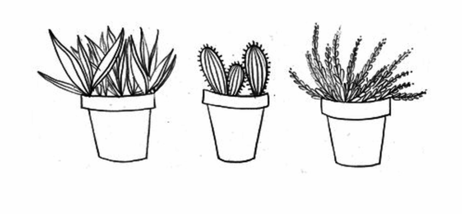 Drawing Cactus Aesthetic Transparent Clipart Free Download Proud