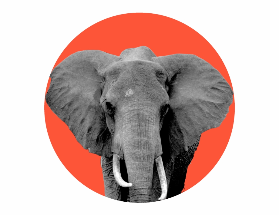 Republican 41 Indian Elephant