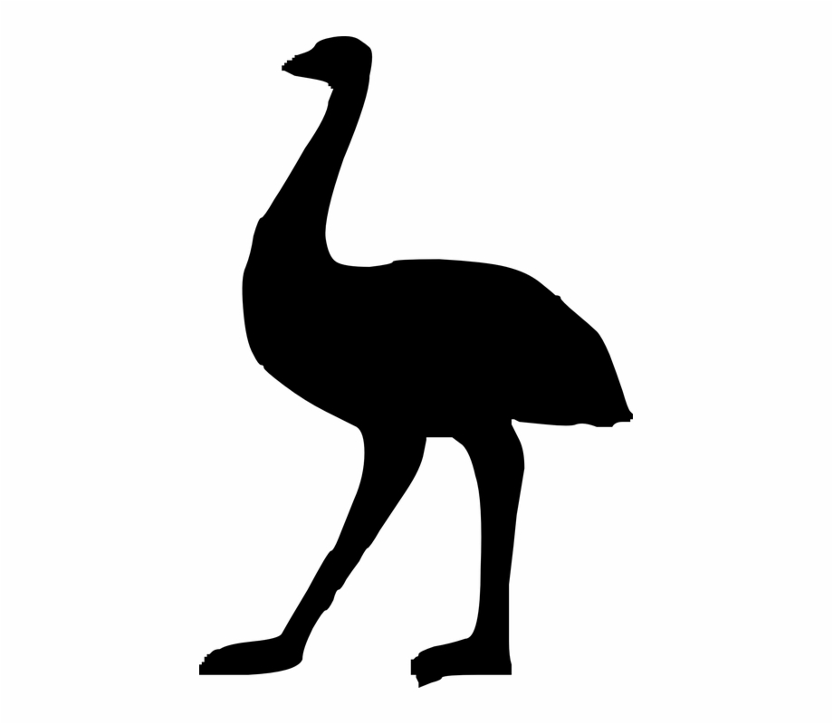 Emu Ostrich Bird Large Australia Silhouette Big Clip
