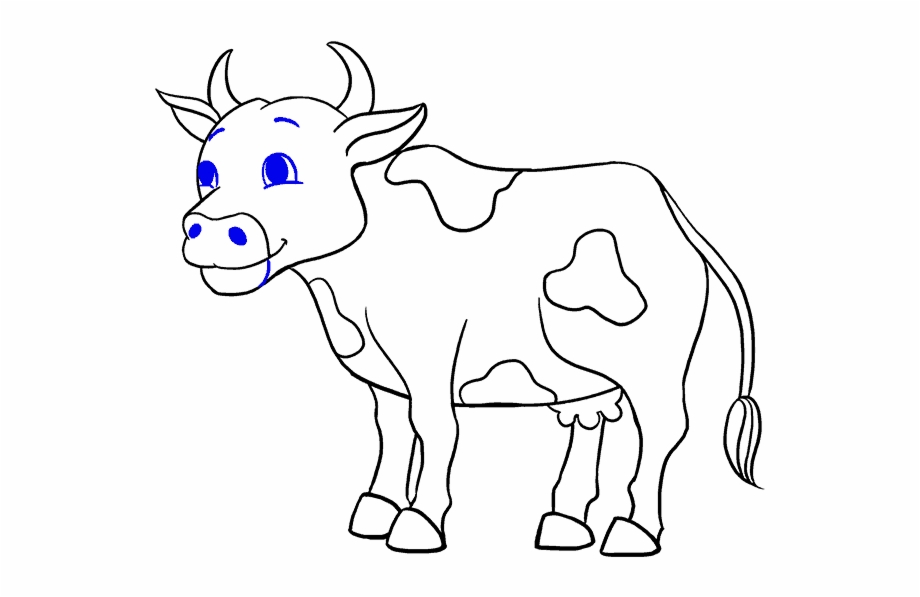 Jamestown Drawing Cow Drawing Picture Of Cow