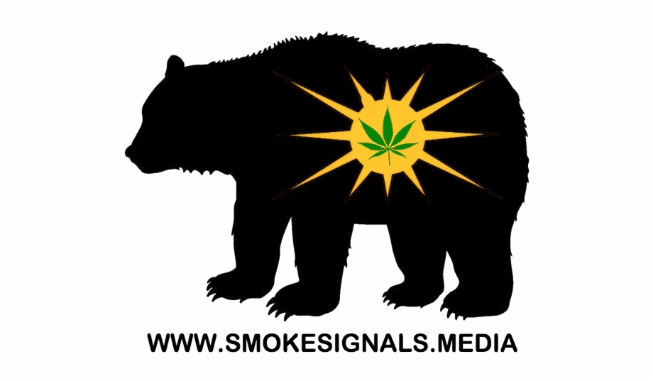 Cropped Black Bear Cannabis Flag Square 600600 1