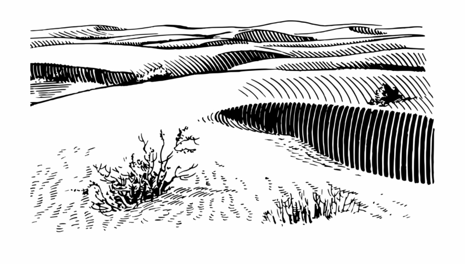 sketch sand dunes drawing
