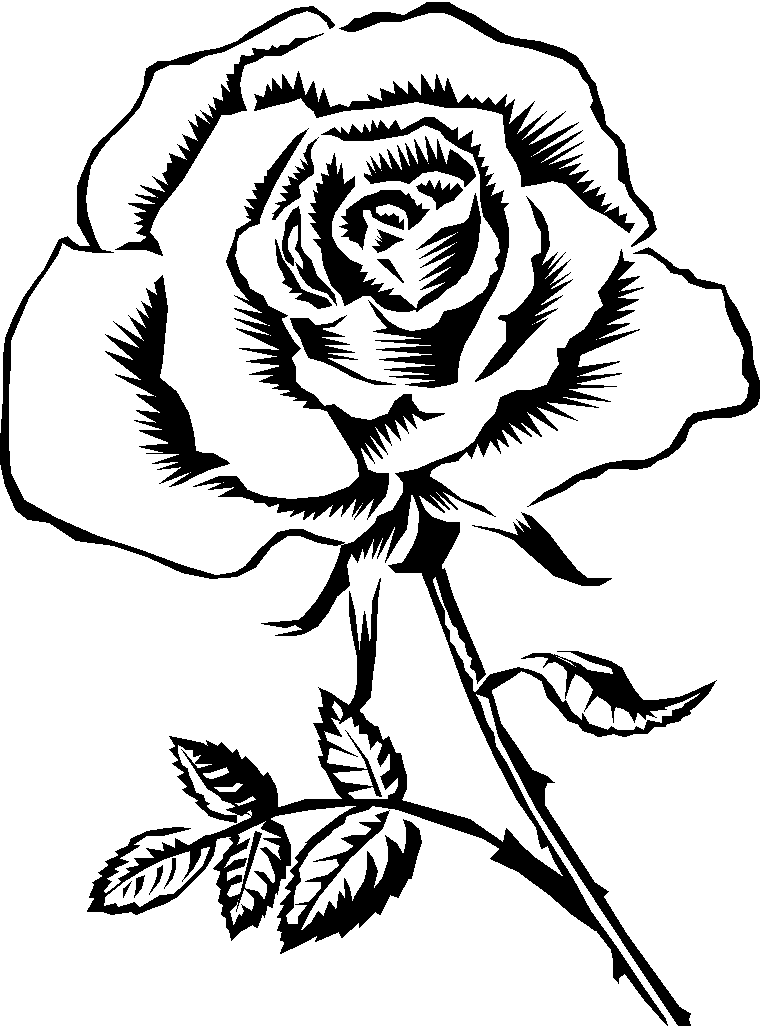 rose flower black and white clipart
