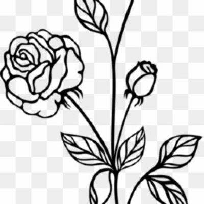 black and white rose clipart
