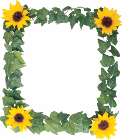 Sunflower Frame Png