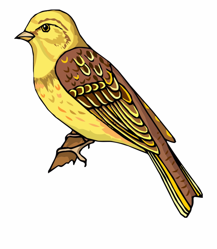 Staying Realistic Bird Clipart Png Cliparts Bird