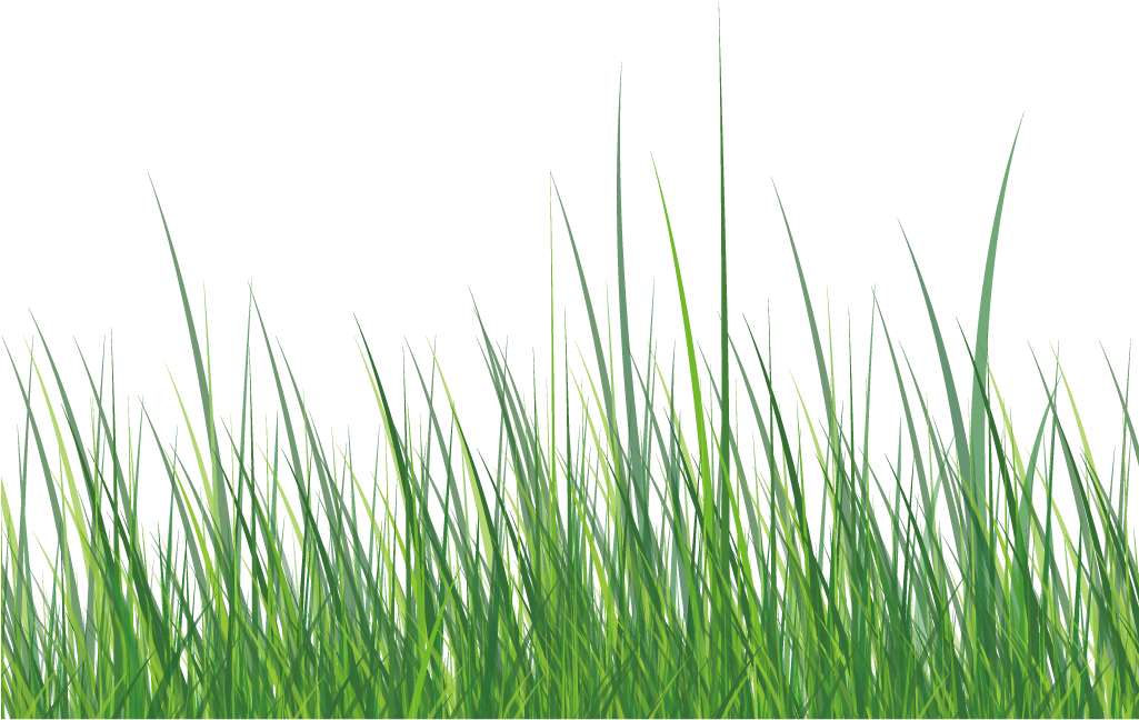 grass vector white
