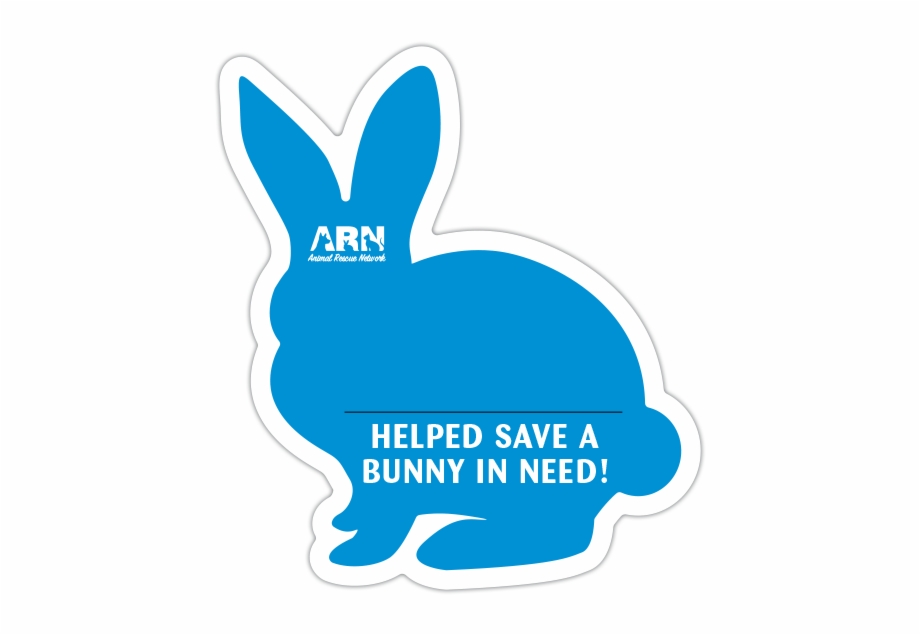 Bunny Rabbit Donation Cards