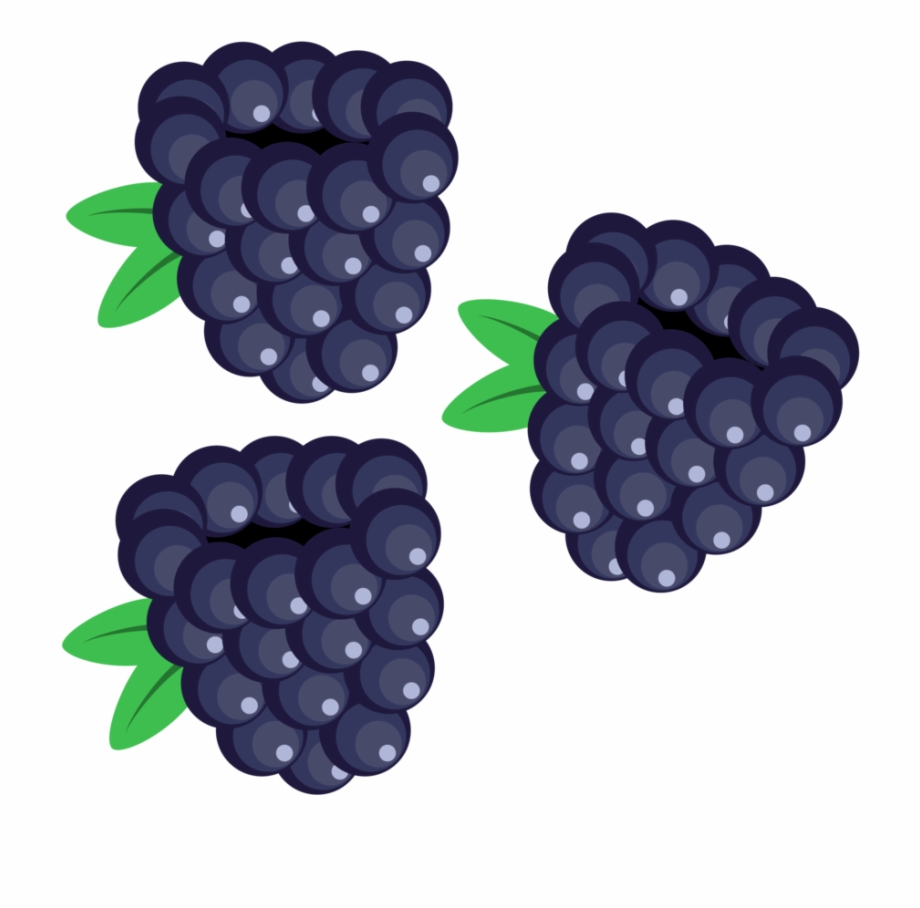 Berry Vector Blackberry Blackberries Clip Art