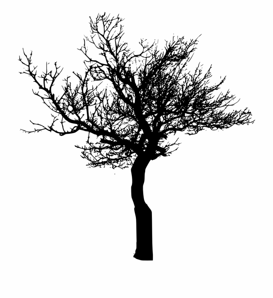 Silhouettes Png Onlygfx Tree Silhouette Transparent Background Png