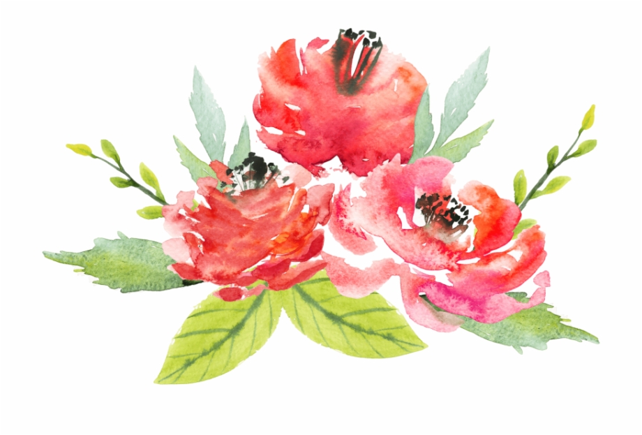 red flowers watercolor png
