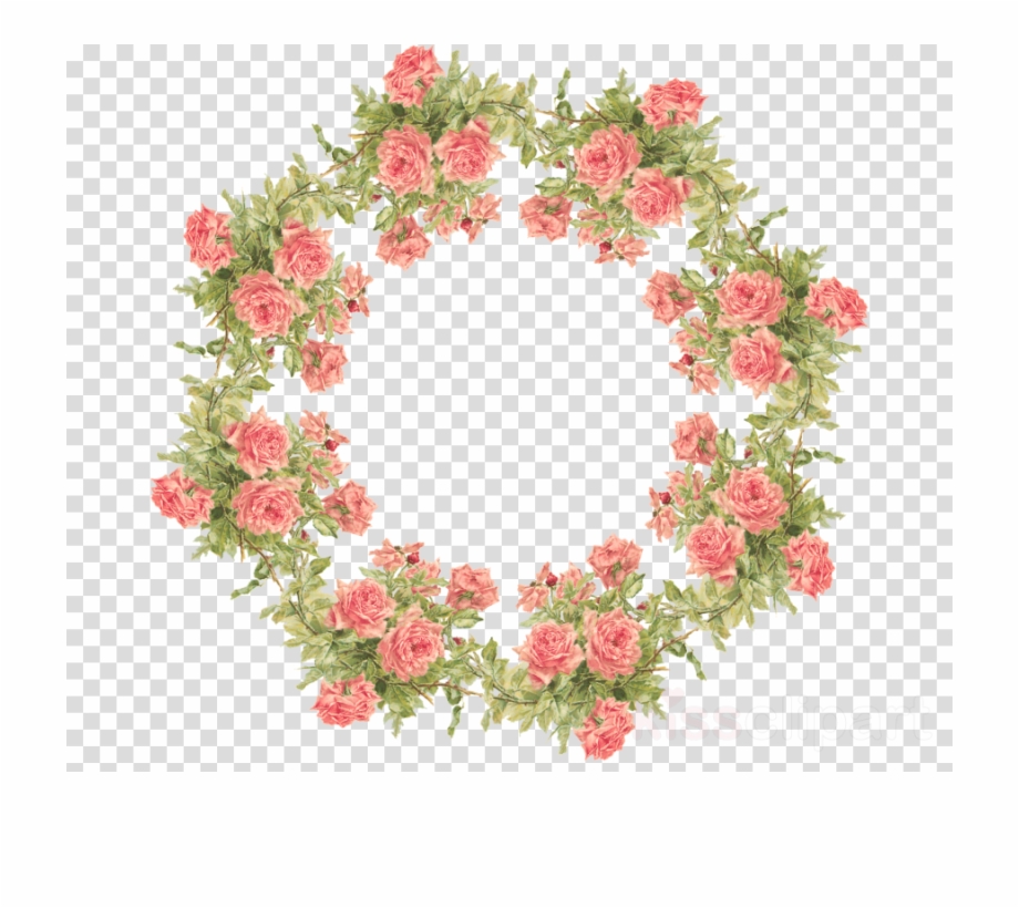 Trend Wreath Rose Flower Transparent Png Image Flower