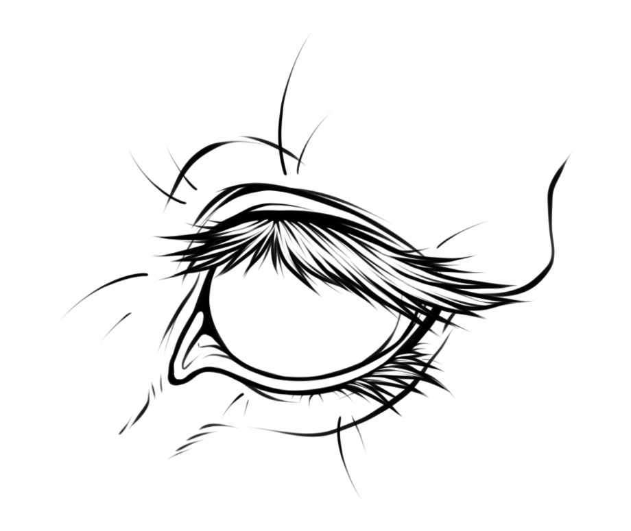 Line Art Group Lineart Transparent Eye Line Art