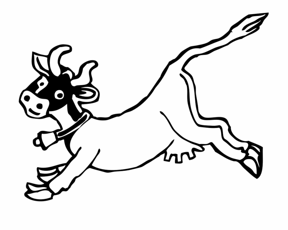 Cow Jumping Cartoon Cowbell Udder Cow Jumping Coloring