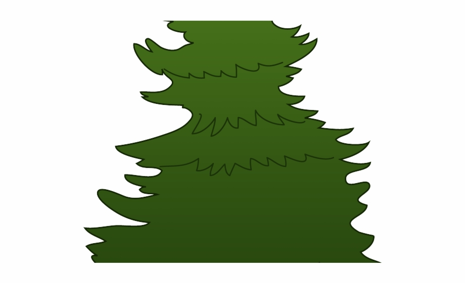 Pine Tree Clipart Baby Transparent Pine Tree Clipart