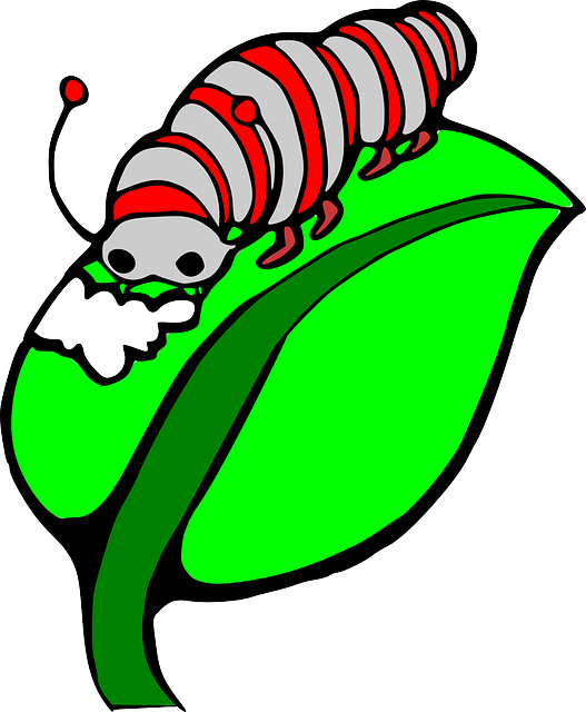 Caterpillar On A Leaf Clipart Panda Free Images