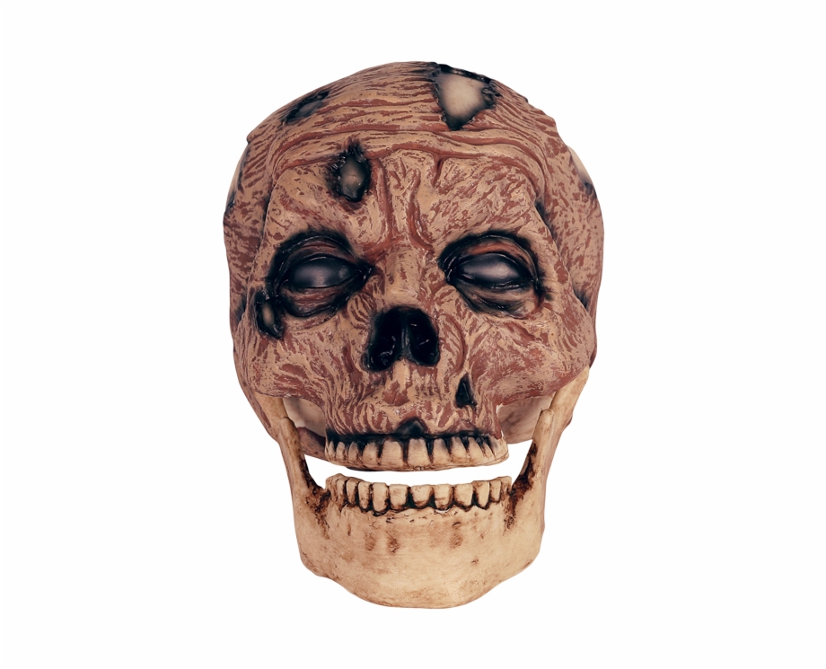 Zombie Head Png Skull