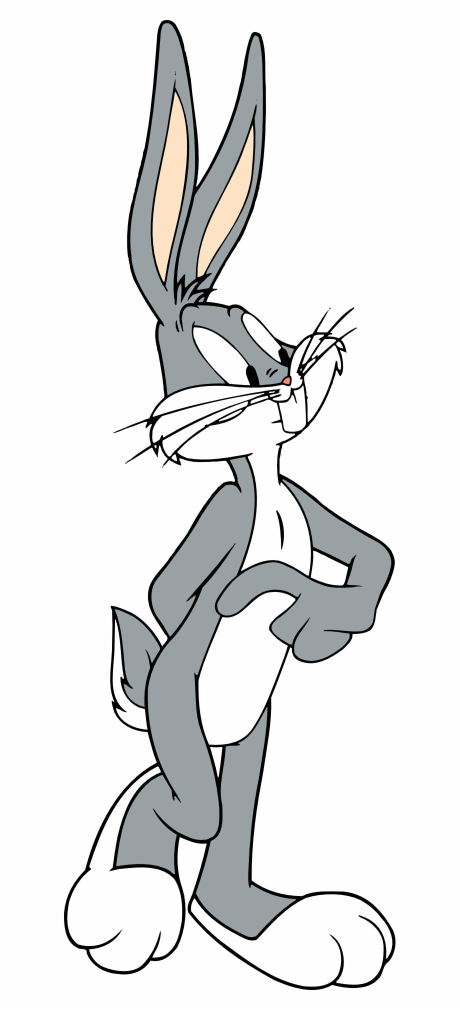 Clip Arts Related To : Bugs Bunny Rabbit Clip art - rabbit png download -.....
