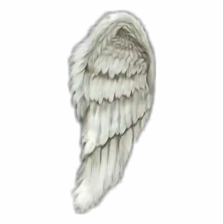 Report Abuse Transparent Png Angel Wings