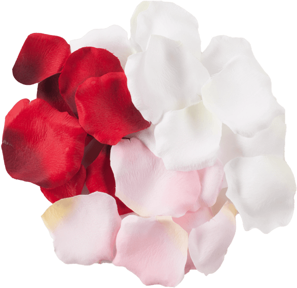 White Rose Petals Png Artificial Flower - Clip Art Library