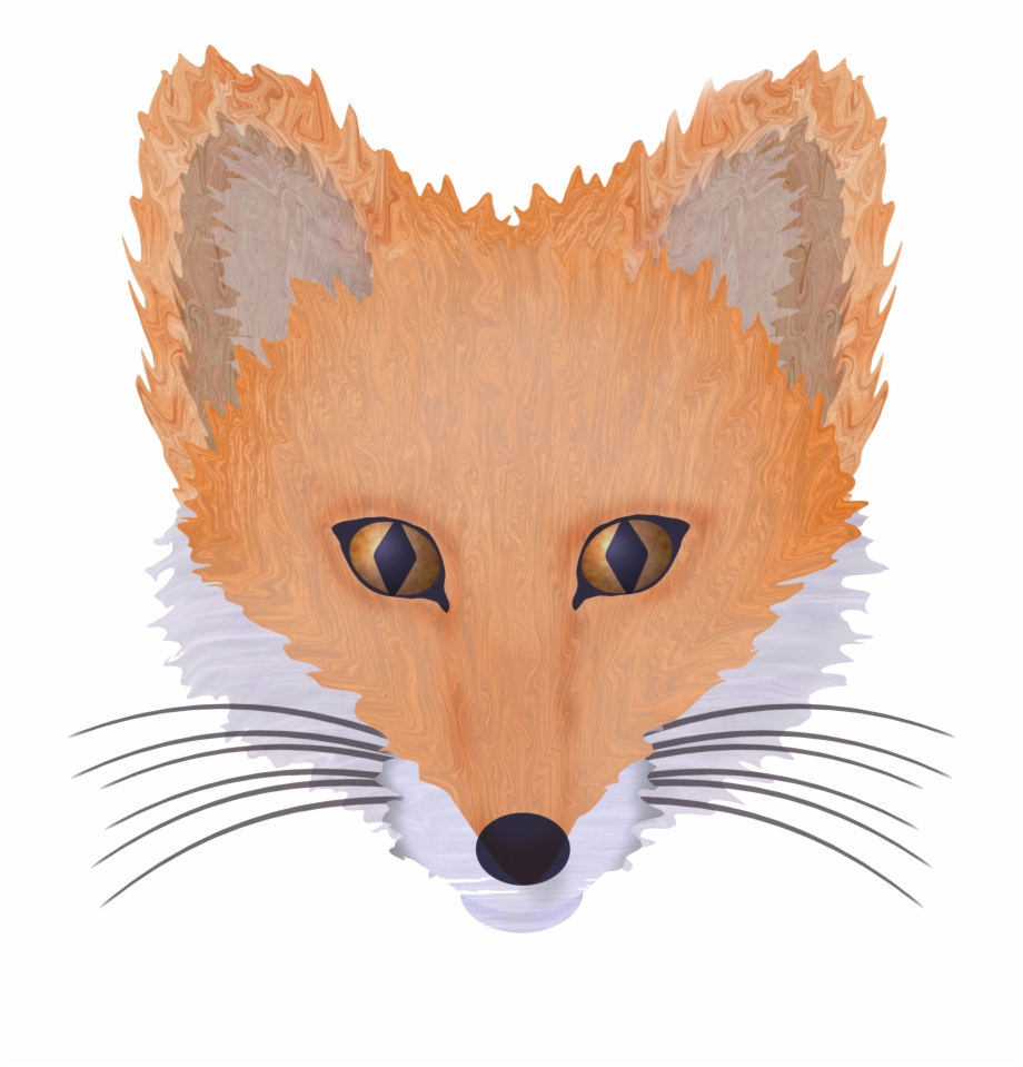 Foxy Expressions Red Fox
